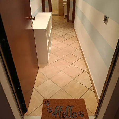 Soft House * 斯培西亚